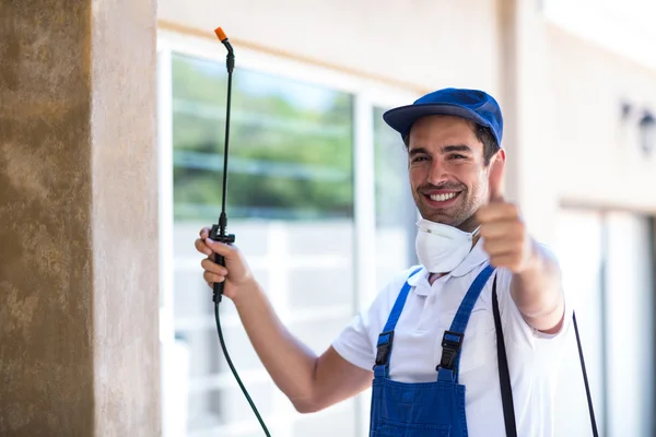 Dublin Wasp Removal