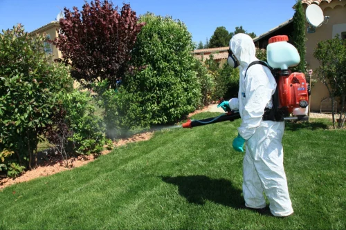 Dublin Mosquito Control