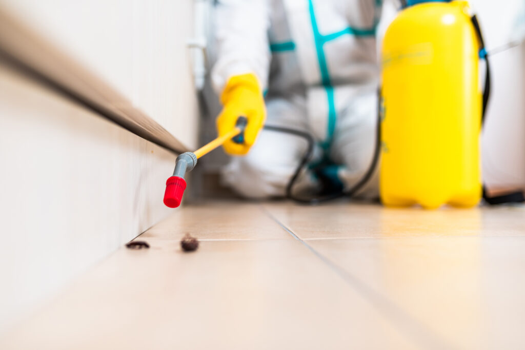 Dublin Cockroach Experts