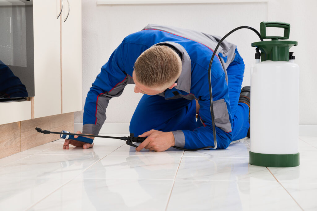 Dublin Ant Control Xperts