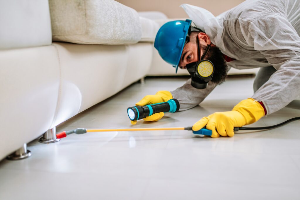 Dublin Termite Control