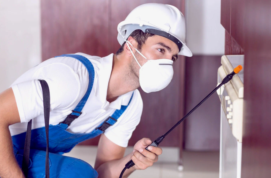 Dublin local pest services