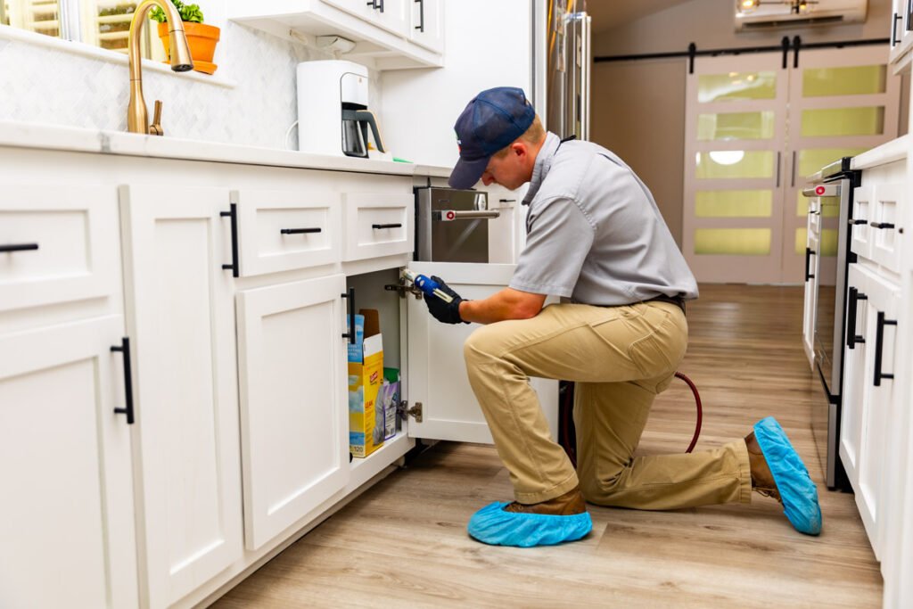Dublin xpert pest management